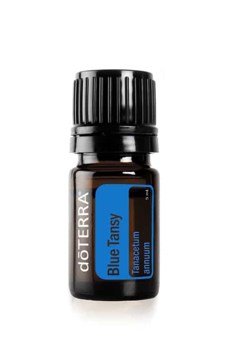 Buy doterra blue tansy essential oil wholesale