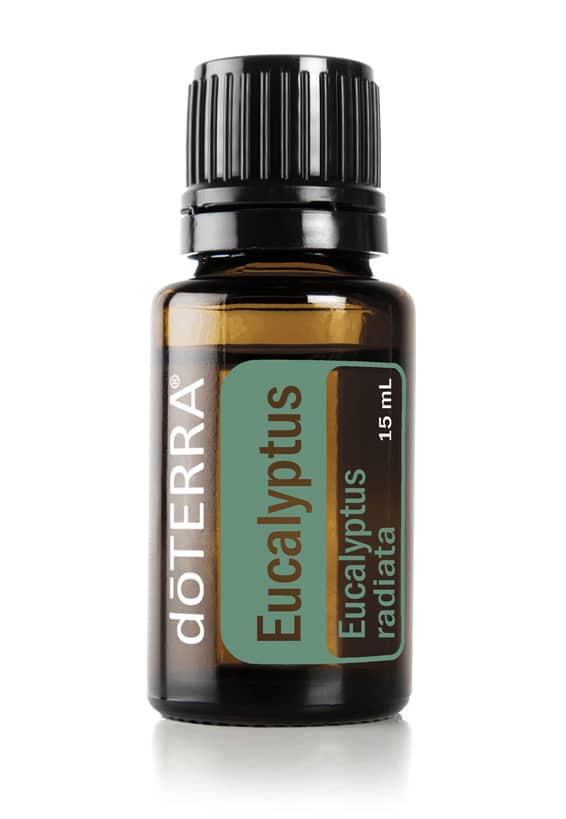 buy doterra eucalyptus essential oil online